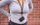 Rrip qafe për aparat WANDRD Neck Strap, universal, i zi