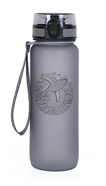 Shishe për pije Albi, 800 ml, e hirtë