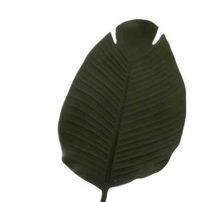 Bimë sintetike Strelitziaceae në vazo (HM7969)