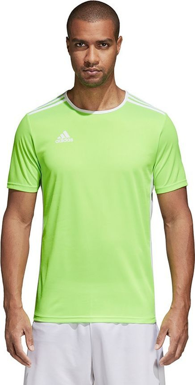 Maicë për fëmijë Adidas Entrada 18 JSY (CE9758), 128 cm, e gjelbër