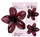 Set kapëse flokësh Nailshop SP429, 3 në 1, me lule, me shumë ngjyra