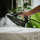 Hekur me avull Adler AD 5054, 3000 W, ekran LCD, Swift Glide