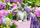 Puzzle Castorland Kitten in Basket, 1500 copa, shumëngjyrëshe