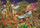 Puzzle Clementoni Woodland Fantasy Garden, 1500 copa, 59.5 x 84.5 cm, shumëngjyrësh