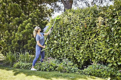Prerëse gardhi me shtyllë Greenworks G24PH51, 51 cm, pa kabllo, jeshile