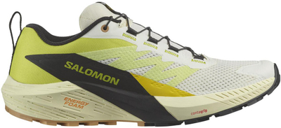 Këpucë vrapimi Salomon Sense Ride 5, meshkuj, gri