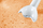 Blender/ grirës Bosch MSM, 6B100