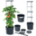 Саксија за домати Prosperplast Tomato, со решетка, 18L, темно сива