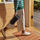 Altoparlant portativ Sonos Move, Gen2, i zi