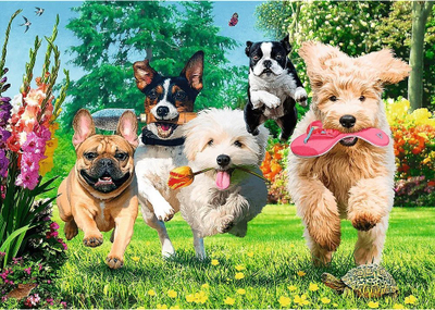Puzzle Trefl Premium Plus Here Comes Trouble, 1000 copa, shumëngjyrëshe
