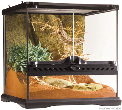 Terrarium xhami Hagen Exo Terra, 30x30x30