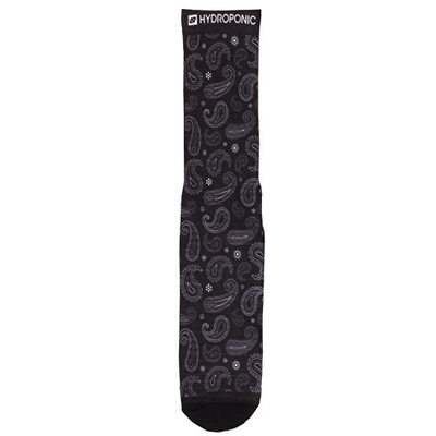 Çorape Hydroponic Flagship Paisley, L