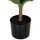 Bimë dekorative sintetike broadleaf agave Φ15×12.5–62 cm (HM7998)