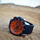 Orë dore Festina Chrono Bike 20353/E