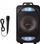 Блутут звучник N-Gear Flash 610, 100W, караоке, црн