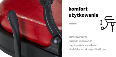 Karrige berberi President Red, profesionale, e kuqe
