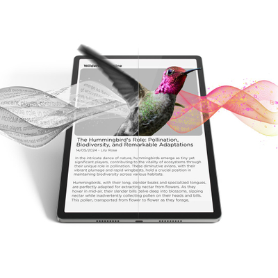 Tablet Lenovo Idea Tab Pro, 12.7", 8GB 256GB, gri