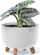 Vazo lulesh GRACIA Beton Effect, 29 cm, gri