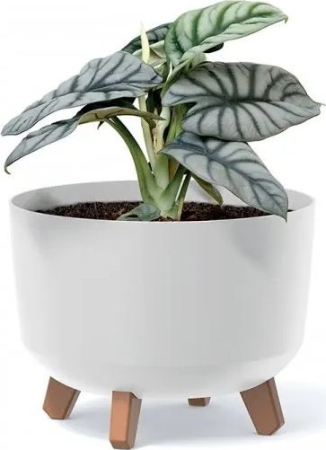 Vazo lulesh GRACIA Beton Effect, 29 cm, gri