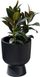 Vazo dekorative MILLY, 29.8 cm, plastike, jeshile e errët