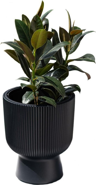 Vazo dekorative MILLY, 29.8 cm, plastike, jeshile e errët