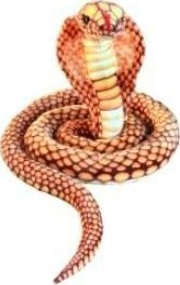 Shkop peshkimi Golden Cobra Dubi, 280cm, i lehtë