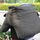 Qese mbajtëse për kamer Stealth Gear Double Bean Bag, për lente telefoto, edicion i kufizum, jeshile pylli