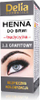 Ngjyrë për vetulla Delia Cosmetics, 1.1 Grafit