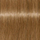 Ngjyrë për flokë Schwarzkopf TBH, 8-56 GOLD Chocolate, 60 ml