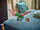 Lodër ndërtuese LEGO Creator 3in1 Medieval Dragon 31161, për fëmijë, shumëngjyrëshe