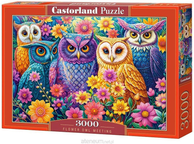 Puzzle Castorland Flower Owl Meeting, 3000 copa, shumëngjyrësh