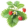 Click and Grow Smart Garden садници од диви јагоди