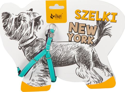 Parzmore qeni Dingo New York Basic, qafë 21–28 cm, gjoks 23–33 cm, mente