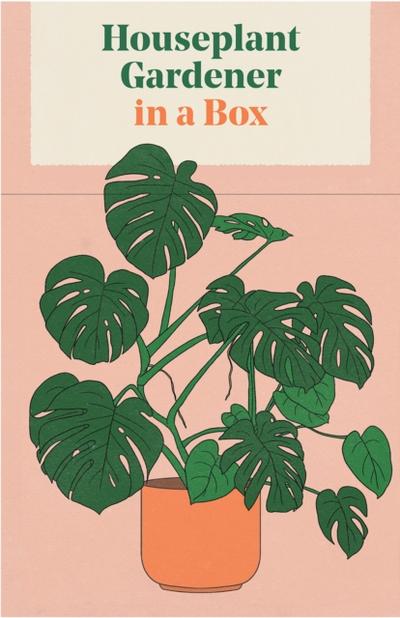 Houseplant Gardener In A Box - Jane Perrone