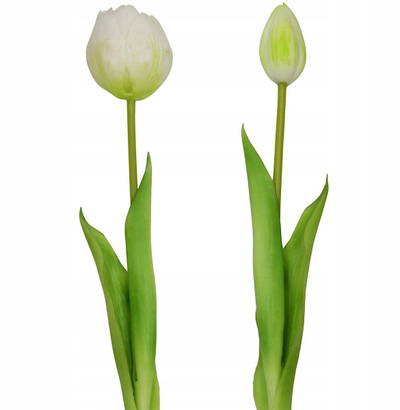 Buqetë artificiale Saska Garden Tulips, 5 copa, 39 cm, e bardhë