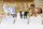 Figurinë qen Schleich Farm World Old English Sheepdog, plastikë, për fëmijë 3+