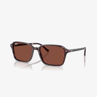Ray-Ban RB2231 1416C5 58