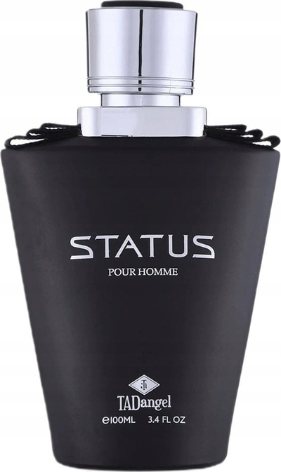 Parfum Tad Angel Status Homme, Eau de Parfum, 100ml, për burra