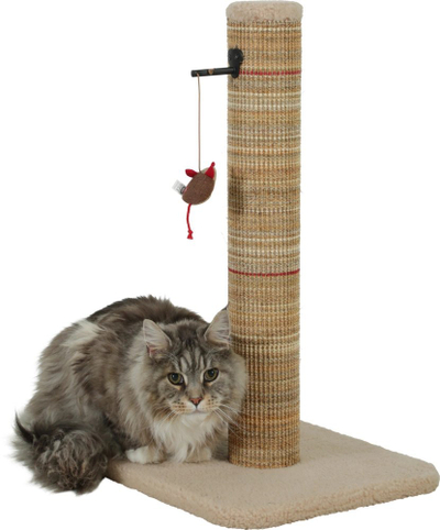 Post gërvishtëzues për mace Zolux Boréal M, 60 cm, me lodër, bezhë