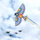 Fluturake Fat Brain Toys Maxi Bird, poliester, fibra xhami, shumëngjyrëshe