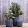 Vazo dekorative Capi Europe Planter Ball Waste Rib NL, 43x41 cm, terrazzo, gri