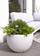 Vazo dekorative me drita LED Flower Pot Shining Curvy, 8W, IP44, e bardhë