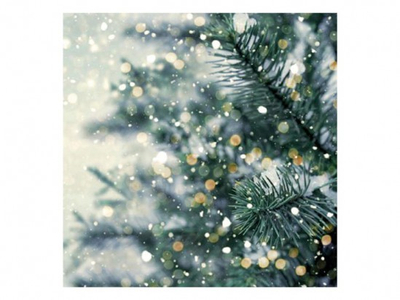 Salveta festash MFP Christmas MES100893, 33x33cm, 3-shtresore, me motiv dimëror