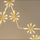 Dekor dritash LED Star Trading Outdoor Lighted Wall Star, 120 LED, 50 cm, dritë e bardhë e ngrohtë