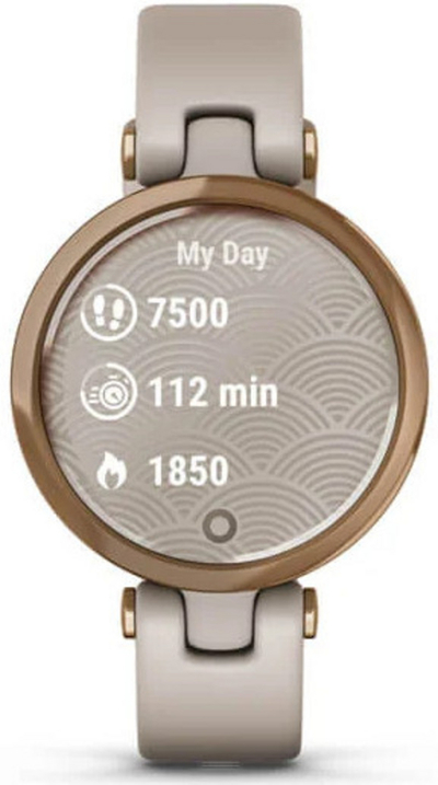 Orë e mençur Garmin 010-02384-11
