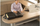 Çantë dore për laptop Kensington Contour 2.0, 15.6", e zezë