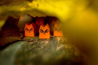Друштвена игра Portal Games Root, полско издание, стратегиска, за повеќе играчи