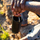 Termus Klean Kanteen TKWide Café Cap, 355ml, i zi