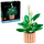 Set ndërtimi LEGO Botanicals Peace Lily 11504, 474 pjesë, dekor për të rritur, shumëngjyrësh