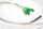 Kabllo fibër optike Digitus FTTH Drop SM, 4 fibra SM, LC APC, 30m